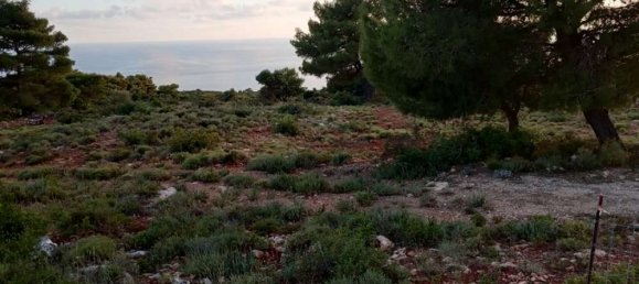  قطعة أرض في Zakynthos, Greece رقم 490 7