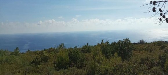  قطعة أرض في Zakynthos, Greece رقم 490 17