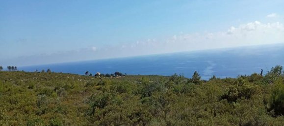  قطعة أرض في Zakynthos, Greece رقم 490 13