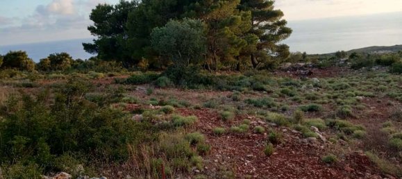  قطعة أرض في Zakynthos, Greece رقم 490 16
