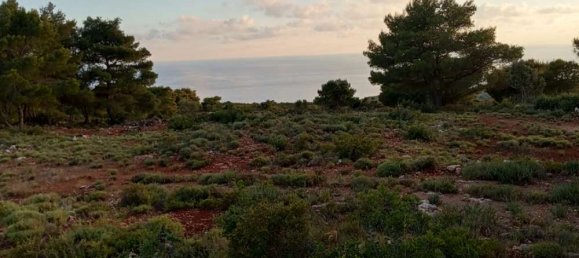  قطعة أرض في Zakynthos, Greece رقم 490 10