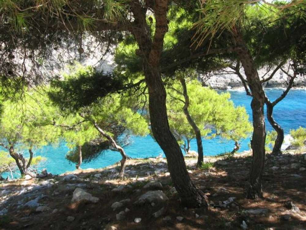  قطعة أرض في Zakynthos, Greece رقم 490