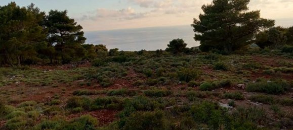  قطعة أرض في Zakynthos, Greece رقم 490 14