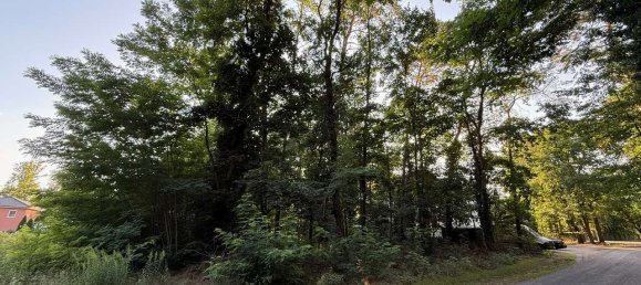 Terreno em Oder-Spree, Germany N.º 312216 5