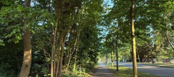 Terreno em Oder-Spree, Germany N.º 312216 3