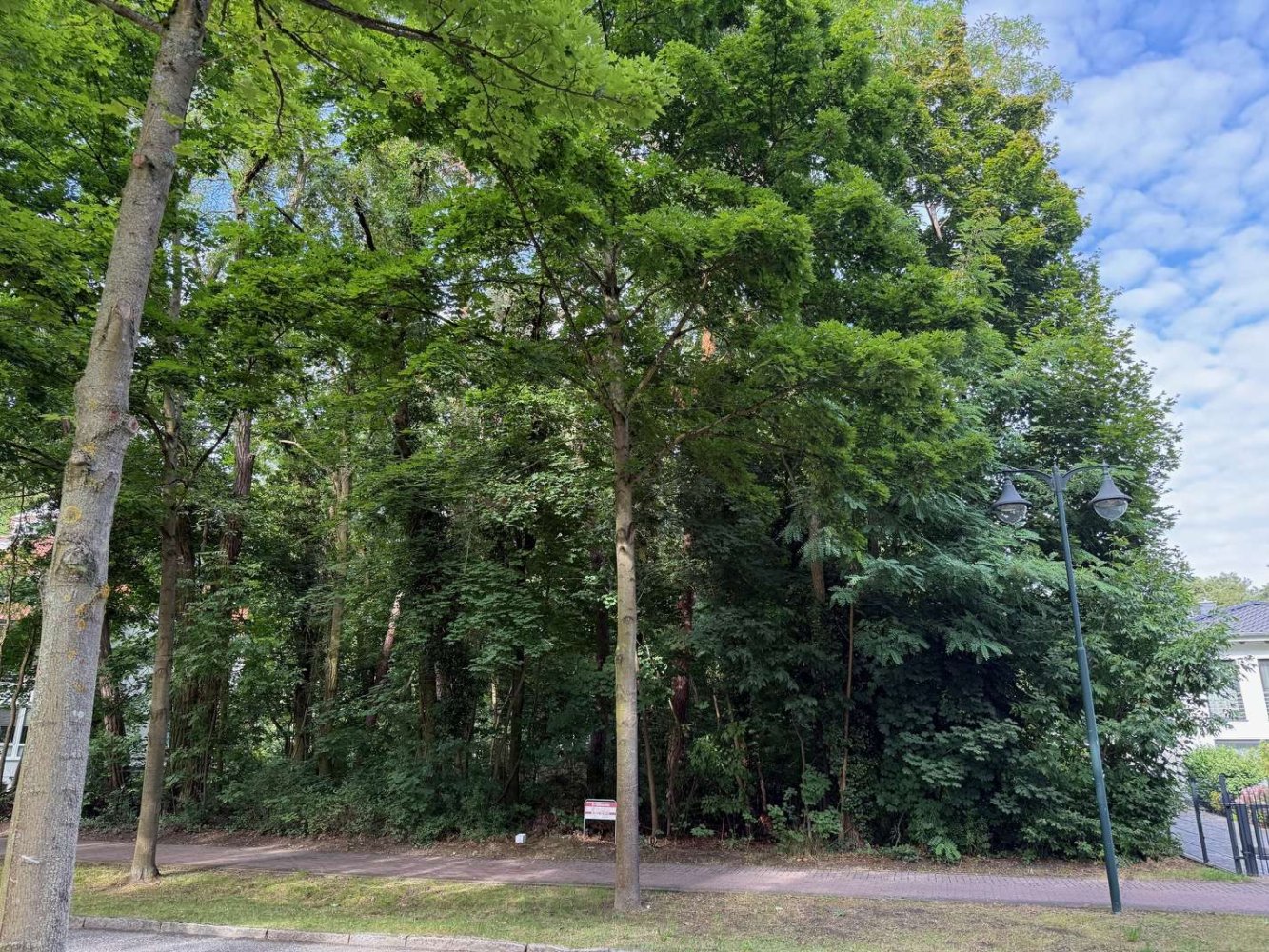 Terreno em Oder-Spree, Germany N.º 312216