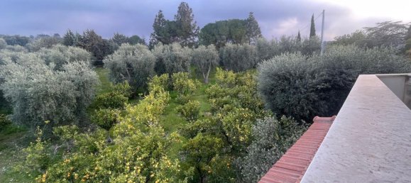 20 rooms Villa in Vico del Gargano, Italy No. 21430 20