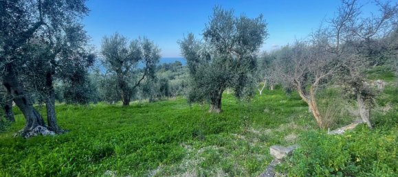 20 rooms Villa in Vico del Gargano, Italy No. 21430 27