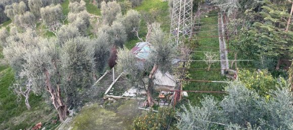 20 rooms Villa in Vico del Gargano, Italy No. 21430 19