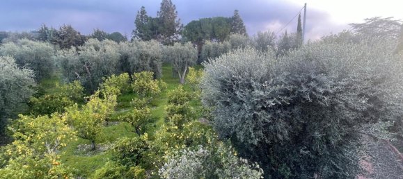 20 rooms Villa in Vico del Gargano, Italy No. 21430 11