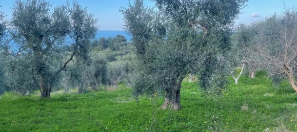 20 rooms Villa in Vico del Gargano, Italy No. 21430 26