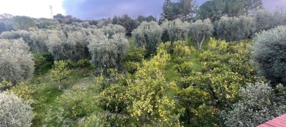 20 rooms Villa in Vico del Gargano, Italy No. 21430 10