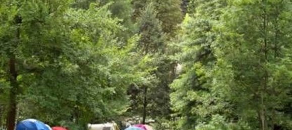 عقار تجاري في Campertogno, Italy 10000متر مربع رقم 328543 13