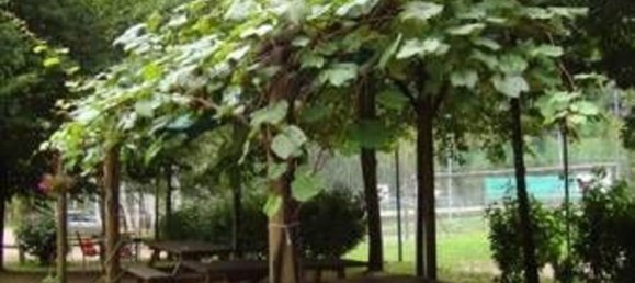 عقار تجاري في Campertogno, Italy 10000متر مربع رقم 328543 29