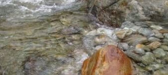 عقار تجاري في Campertogno, Italy 10000متر مربع رقم 328543 26