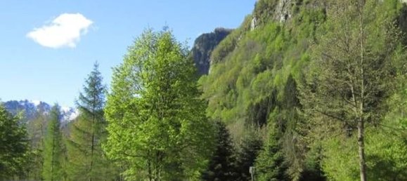 عقار تجاري في Campertogno, Italy 10000متر مربع رقم 328543 15