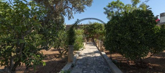 3 bedrooms House in Zejtun, Malta No. 9886 2