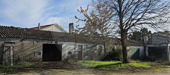 4 bedrooms House in Alijo, Portugal No. 28603 8