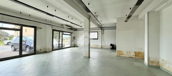 Studio in Quarrata, Italy, Nr. 284384 14