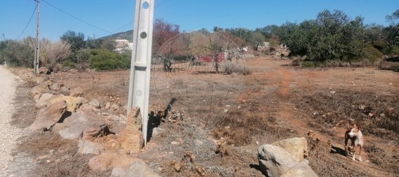 Земельный участок 3990м² в Фару, Португалия № 56085 6