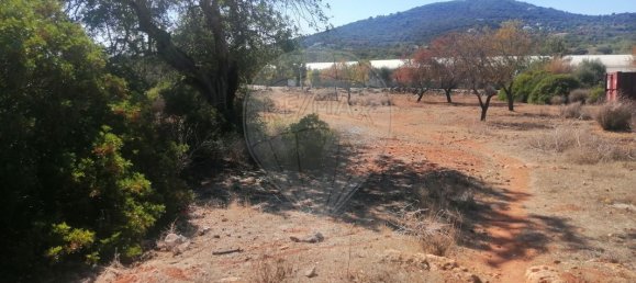 Земельный участок 3990м² в Фару, Португалия № 56085 9