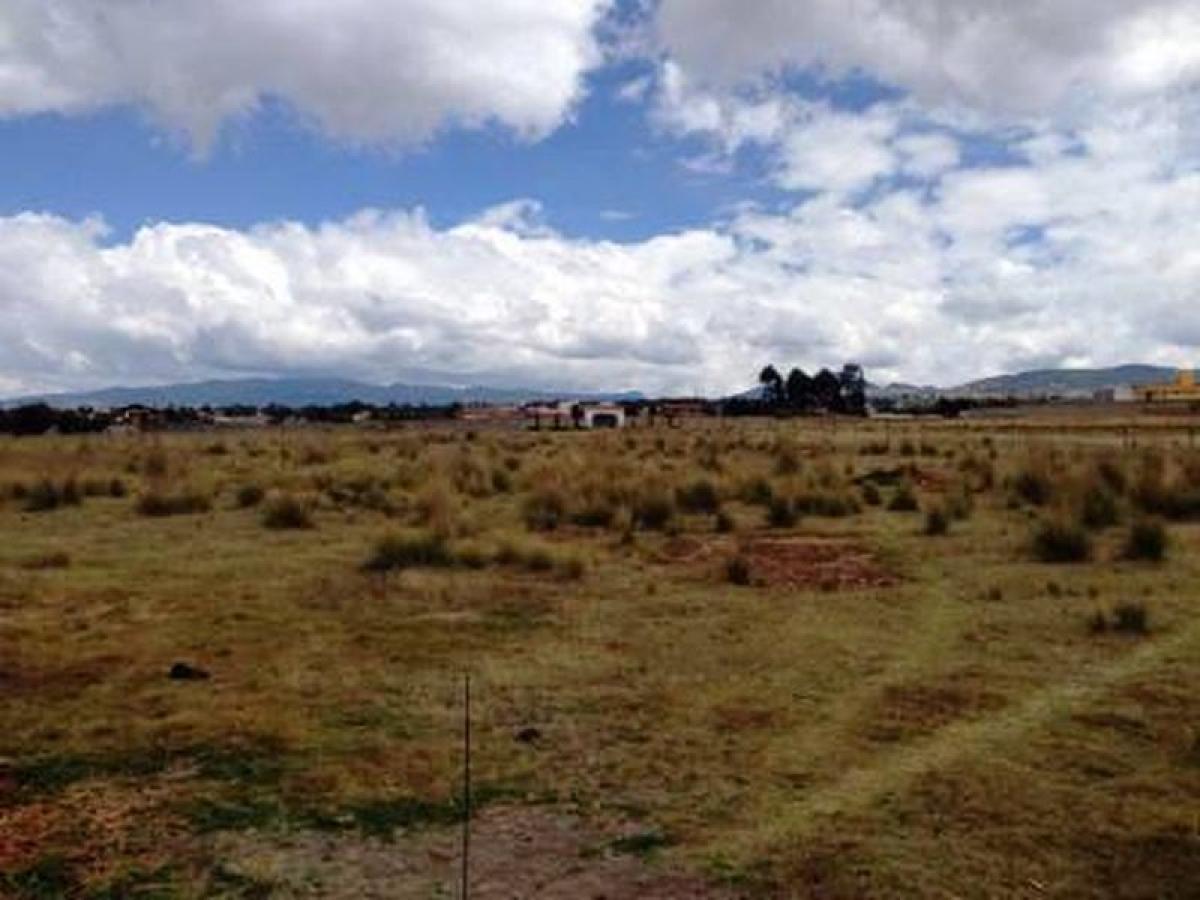  Land in San Buenaventura, Mexico No. 204225