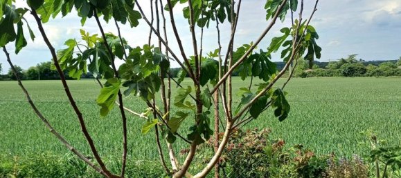 3 bedrooms House in Maine-et-Loire, France No. 340516 3