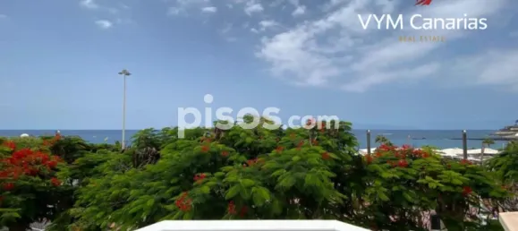 Вилла с 3 спальнями в Адехе, Испания № 124983 9