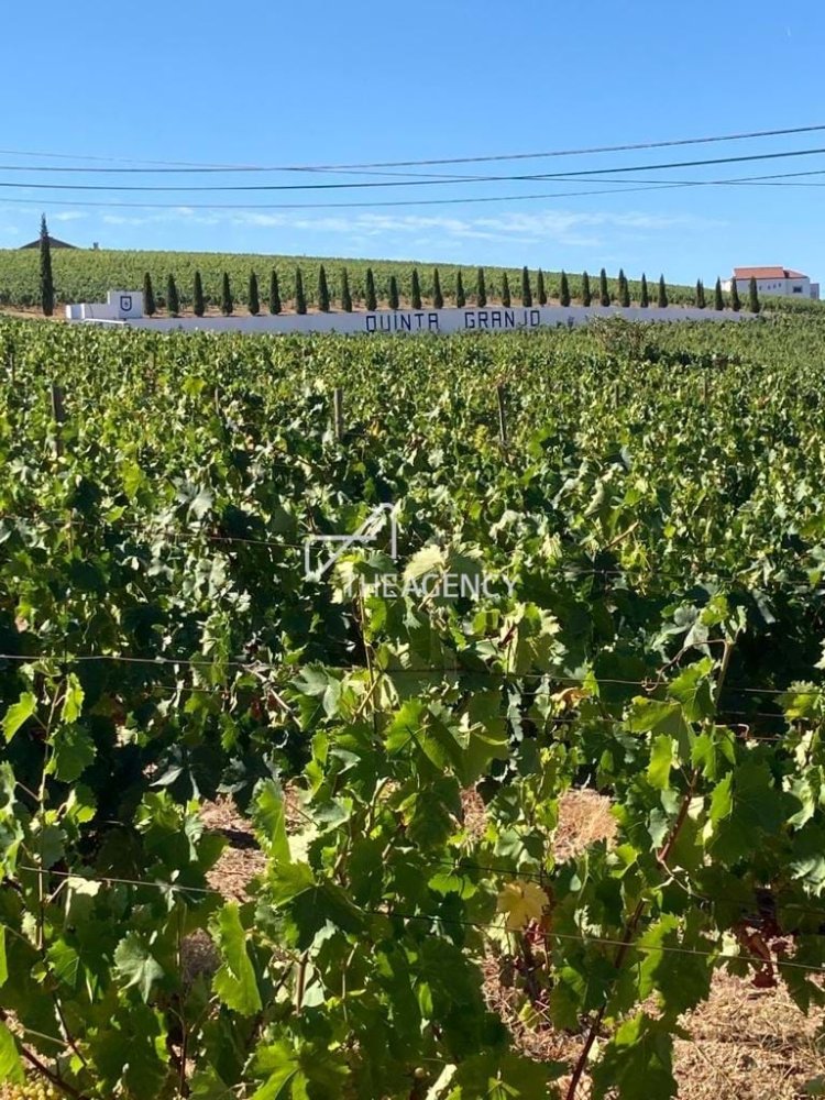  Land in Sanfins do Douro, Portugal No. 231661