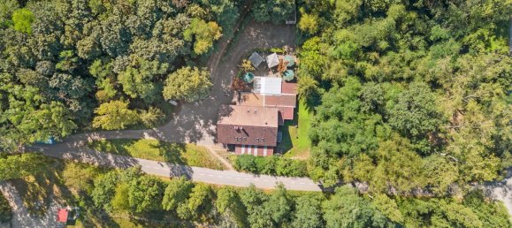 6-Zimmer Cafe / Restaurant in Lörrach, Germany, Nr. 82661 9