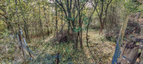 Terreno en Hameln-Pyrmont, Germany No. 318721 6