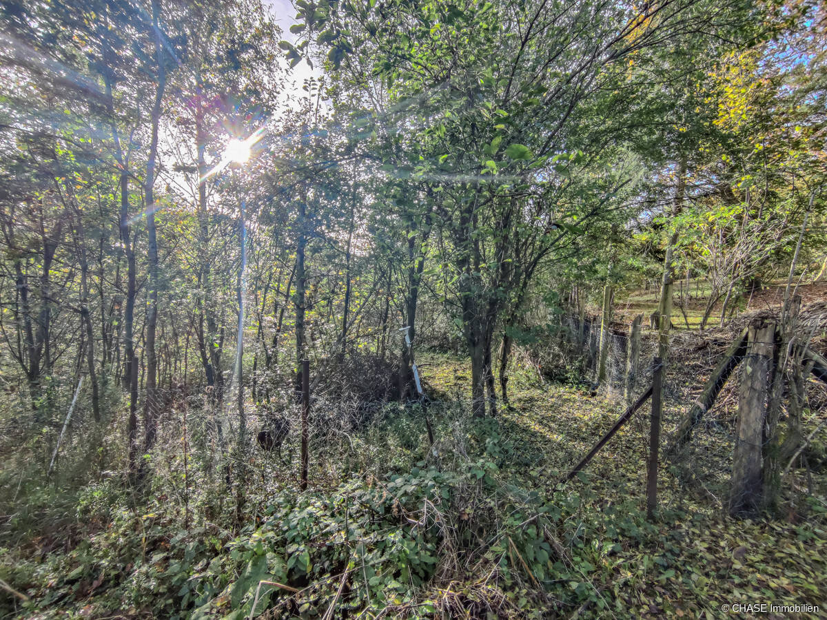 Terreno en Hameln-Pyrmont, Germany No. 318721