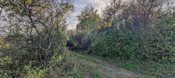 Terreno en Hameln-Pyrmont, Germany No. 318721 4