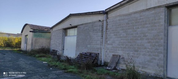 5 rooms Warehouse in Alessandria, Italy No. 51376 9