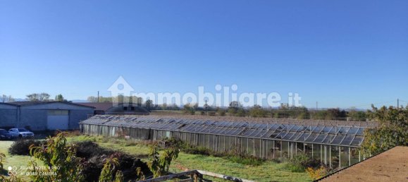 5 rooms Warehouse in Alessandria, Italy No. 51376 14