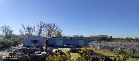 5 rooms Warehouse in Alessandria, Italy No. 51376 13