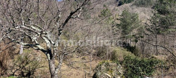 1 bedroom Apartment in Borzonasca, Italy No. 36236 30