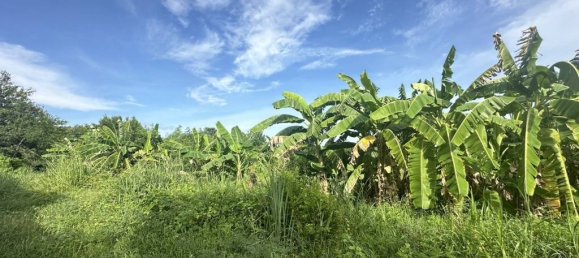 Terreno em Bang Sare, Thailand N.º 20436 6