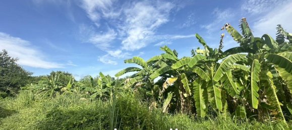 Gewerbliche Immobilie in Bang Sare, Thailand, Nr. 20436 3