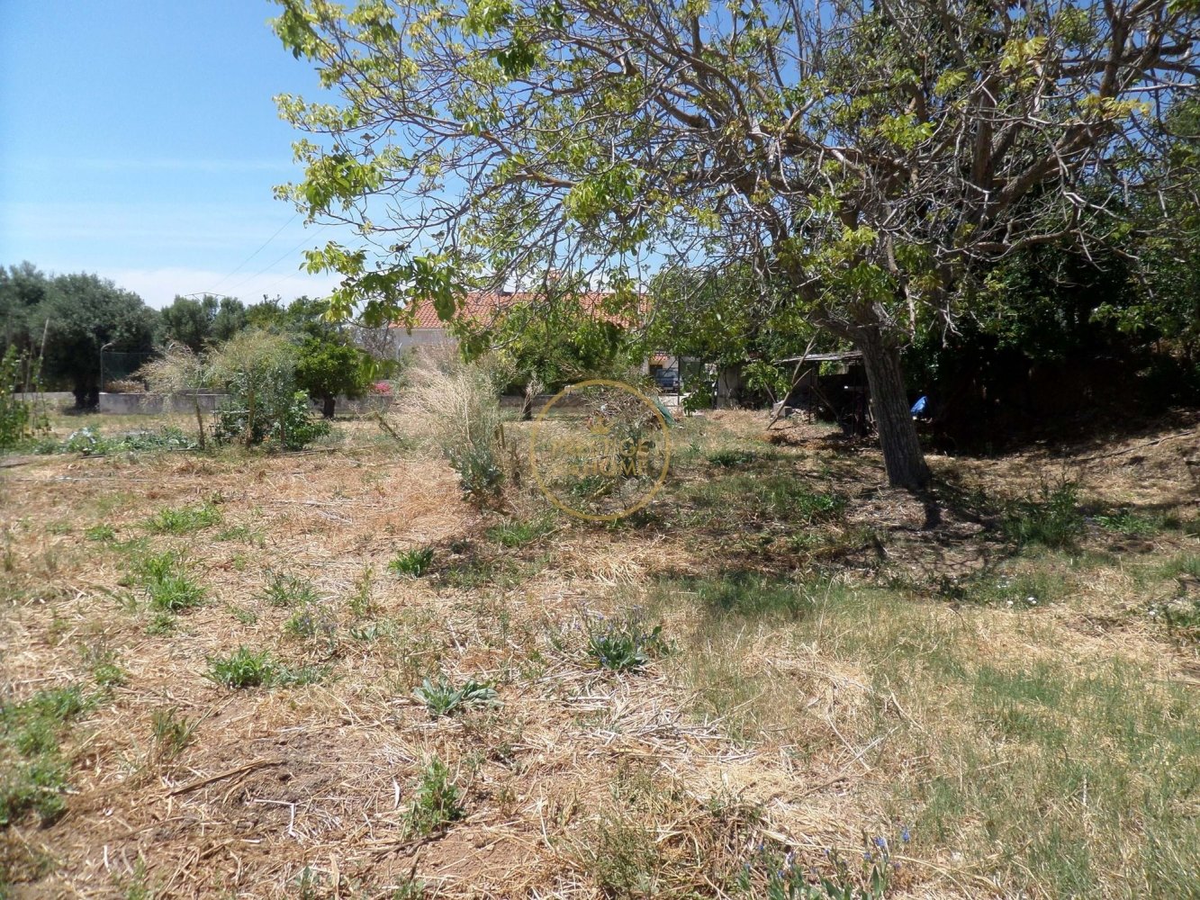 2 bedrooms Villa in Loule, Portugal No. 332920