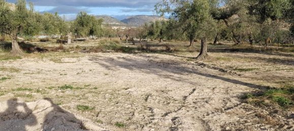 5 bedrooms House in Velez-Blanco, Spain No. 166988 44