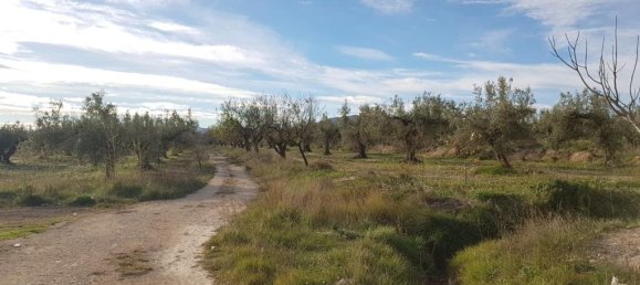 5 bedrooms House in Velez-Blanco, Spain No. 166988 40