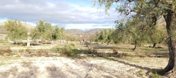 5 bedrooms House in Velez-Blanco, Spain No. 166988 42