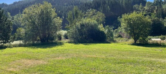 Terreno en Stanz im Murztal, Austria No. 258461 2