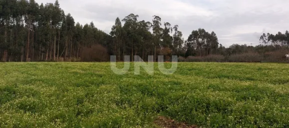 Grundstück in Ovar, Portugal, Nr. 86688 7