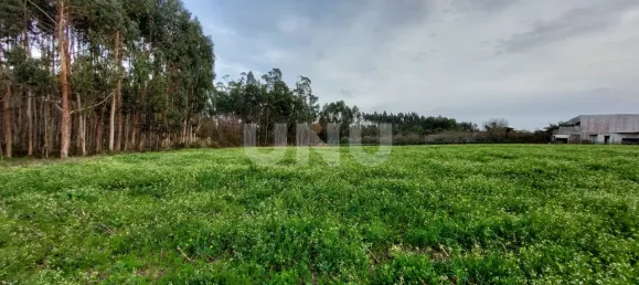 Grundstück in Ovar, Portugal, Nr. 86688 10