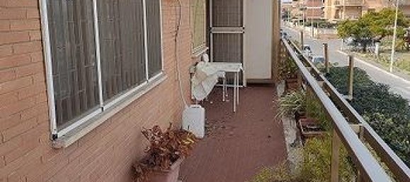 2 rooms Apartment in Pomezia, Italy No. 299524 6