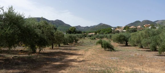 Grundstück in Alhaurin de la Torre, Spain, Nr. 146211 2