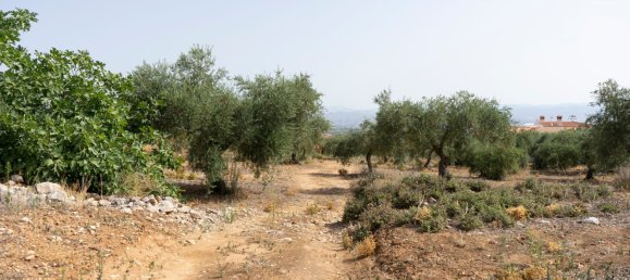 Grundstück in Alhaurin de la Torre, Spain, Nr. 146211 6