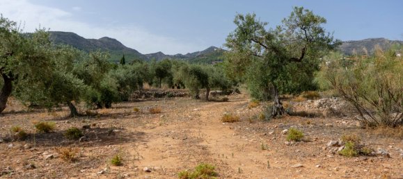 Grundstück in Alhaurin de la Torre, Spain, Nr. 146211 4
